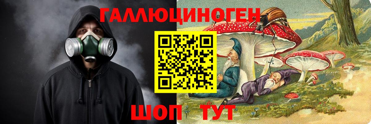 Псилоцибиновые грибы GOLDEN TEACHER  Псилоцибиновые грибы прущие грибы  Вход с VPN  Борзя 
