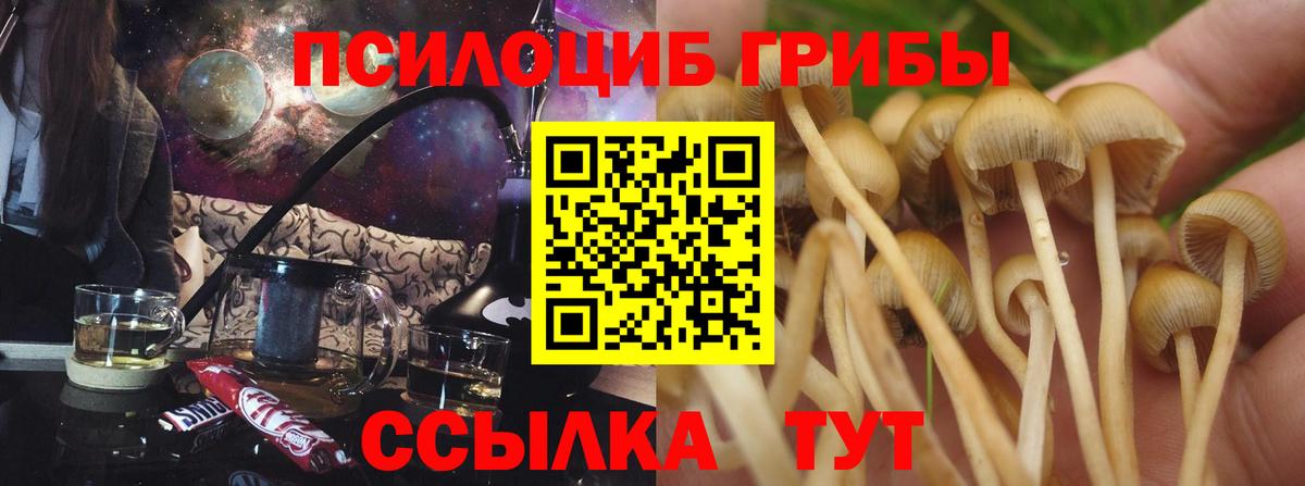 Галлюциногенные грибы прущие грибы Борзя